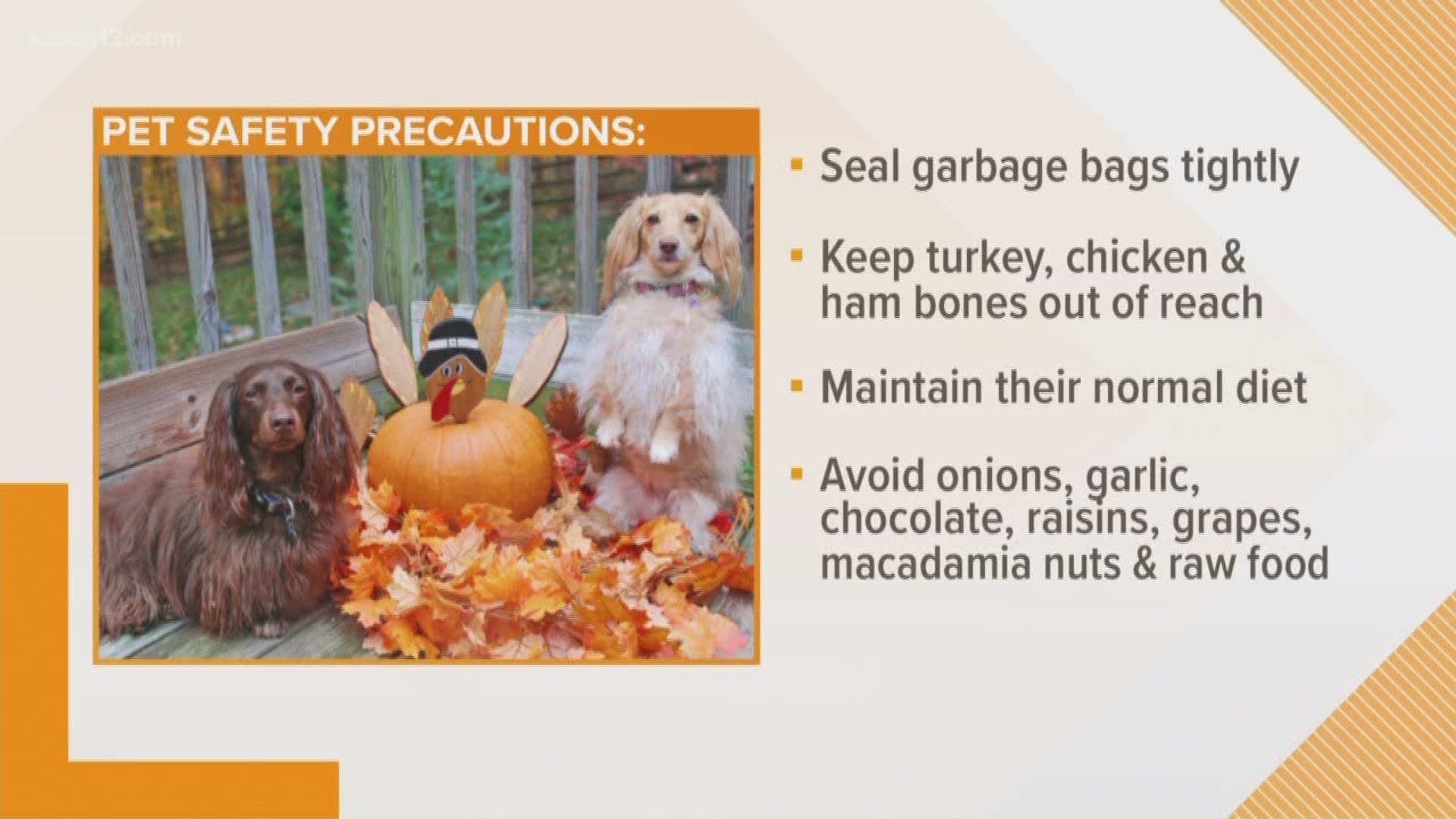 Pet Peeves: Thanksgiving prevention