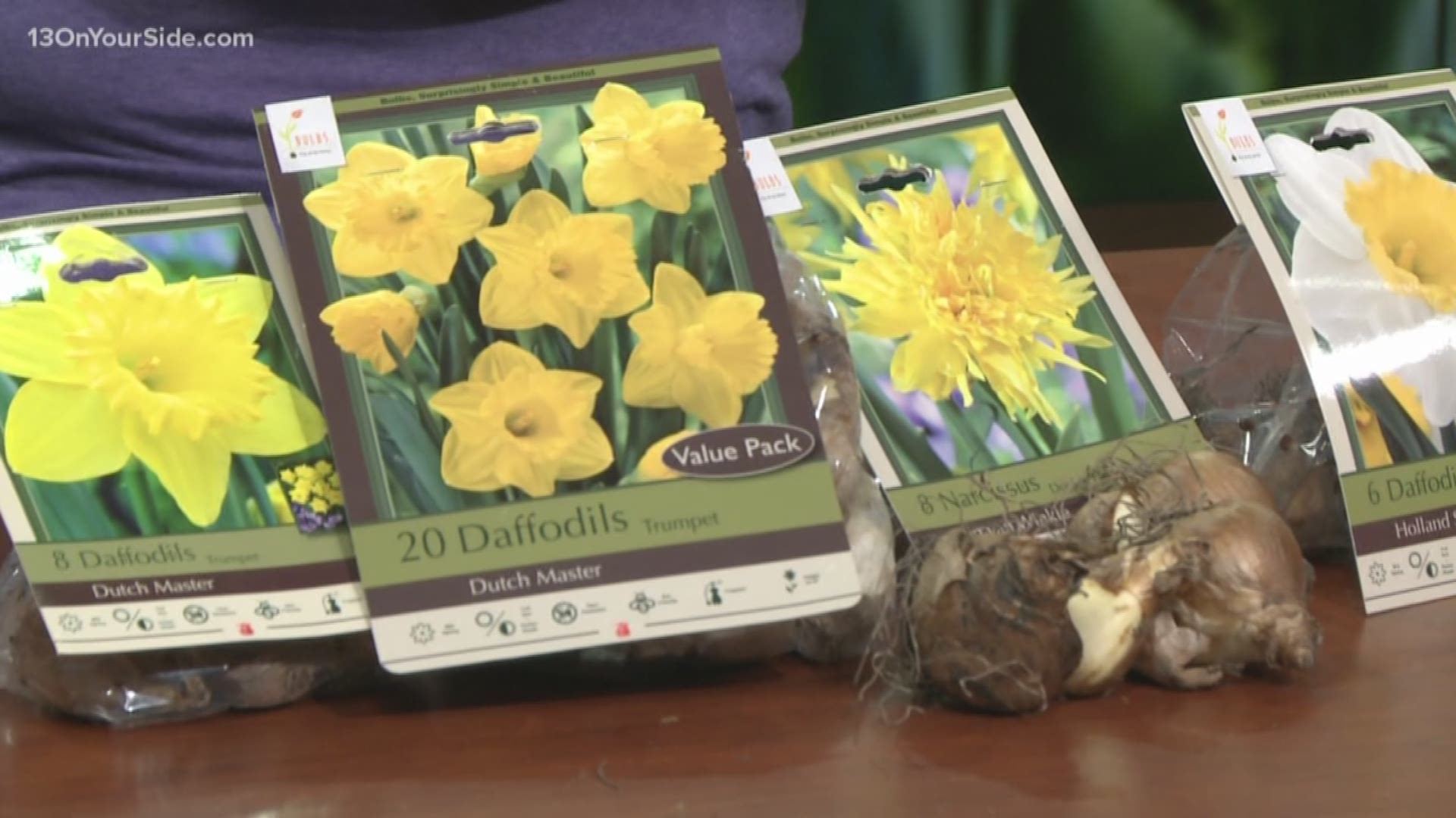 Every year we look to spring as the time for planting, renewal, and getting your garden started. However, you can help make your garden something special all year long by planting some things in the fall. Katey from Romence Gardens shares some of the best bulbs to plant in the fall to have a beautiful next year.