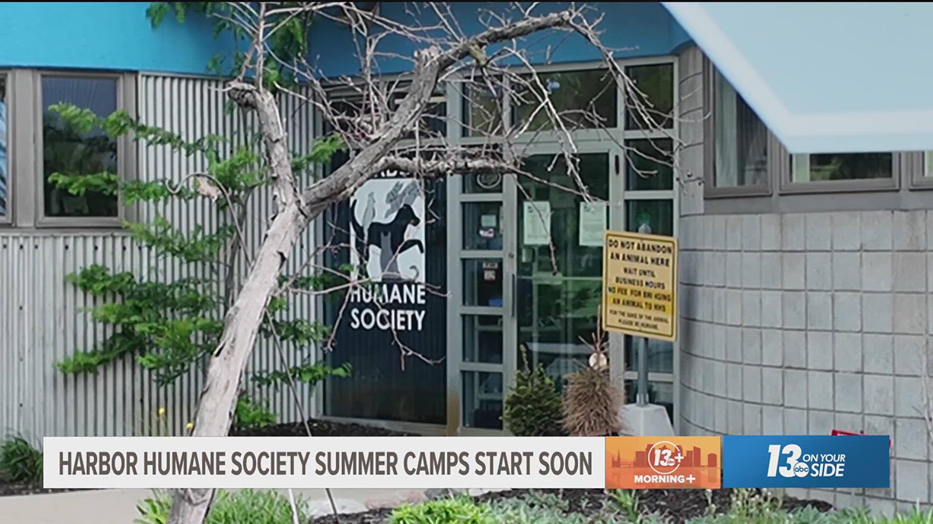 The Harbor Humane Society hosts week-long camps throughout the summer.