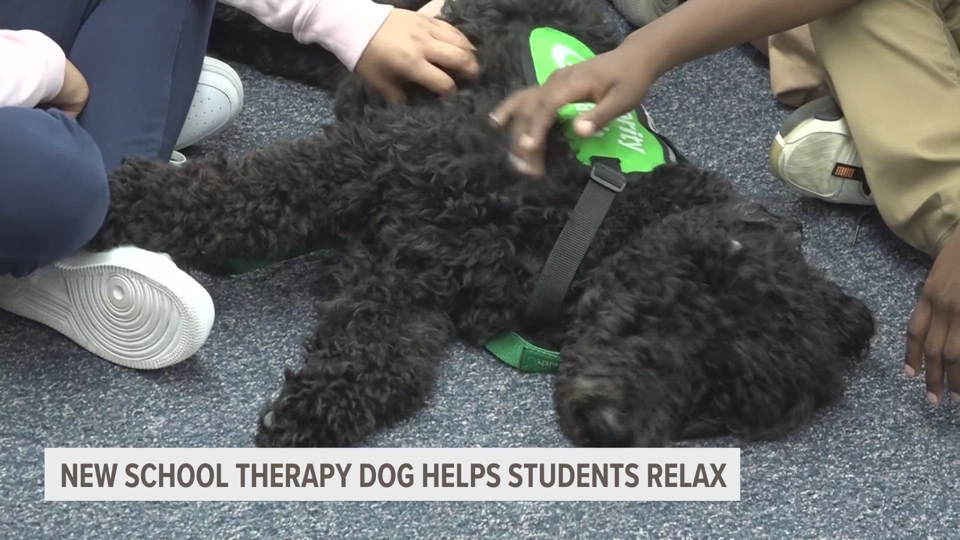 Therapy dog helps students at Wyoming elementary school relax.