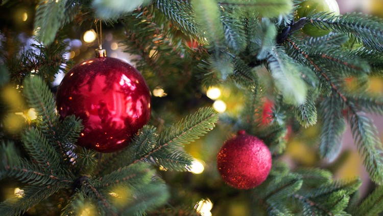 Green Thumb: O Christmas Tree!