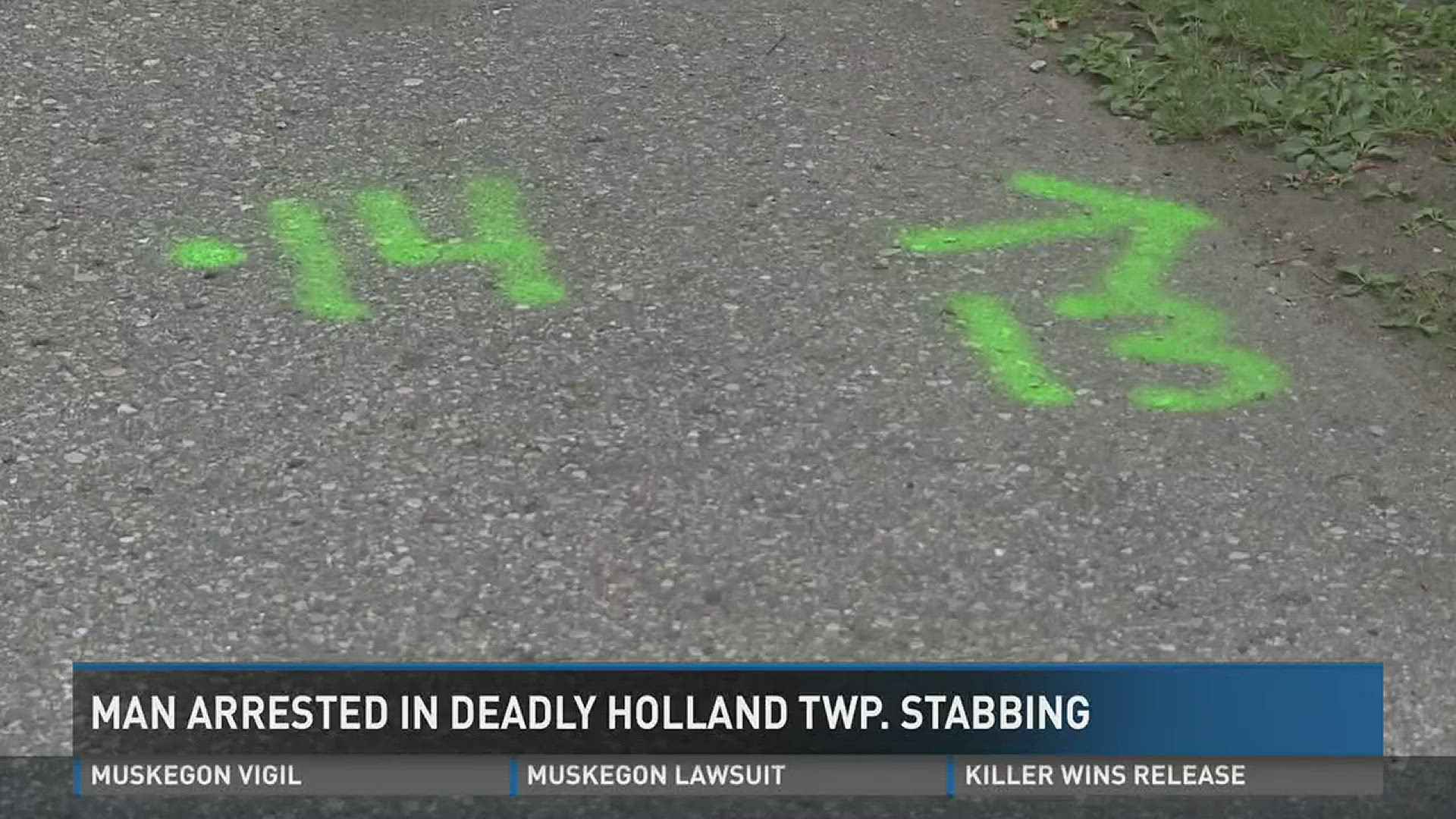 Man Arrested in Deady Holland Twp Stabbing