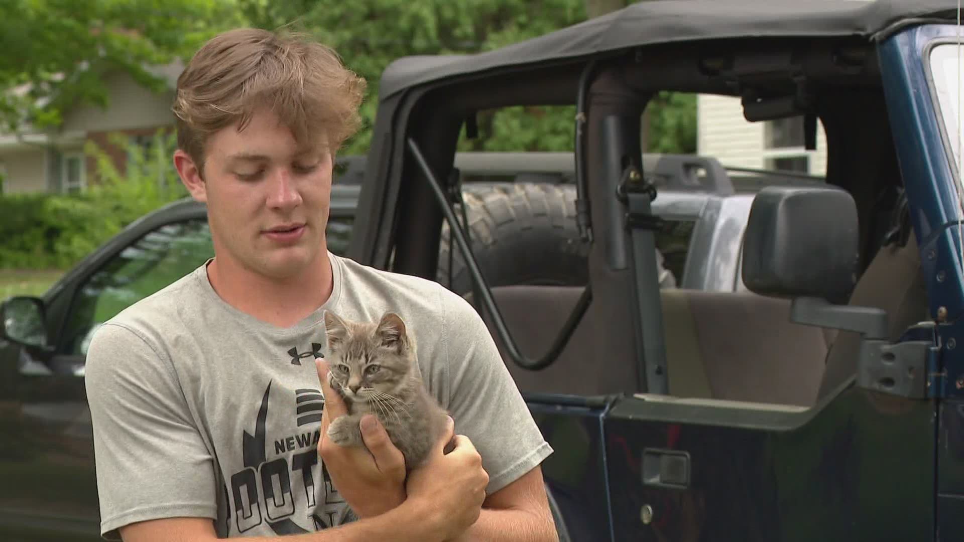 The small kitten appeared in the bank's drive-thru lane after a black Ford Escalade pulled away. Two boys waiting in line grabbed the cat and named him, "Banks."