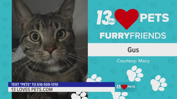 Furry Friends:  May 25, 2023 | Gus and Bean