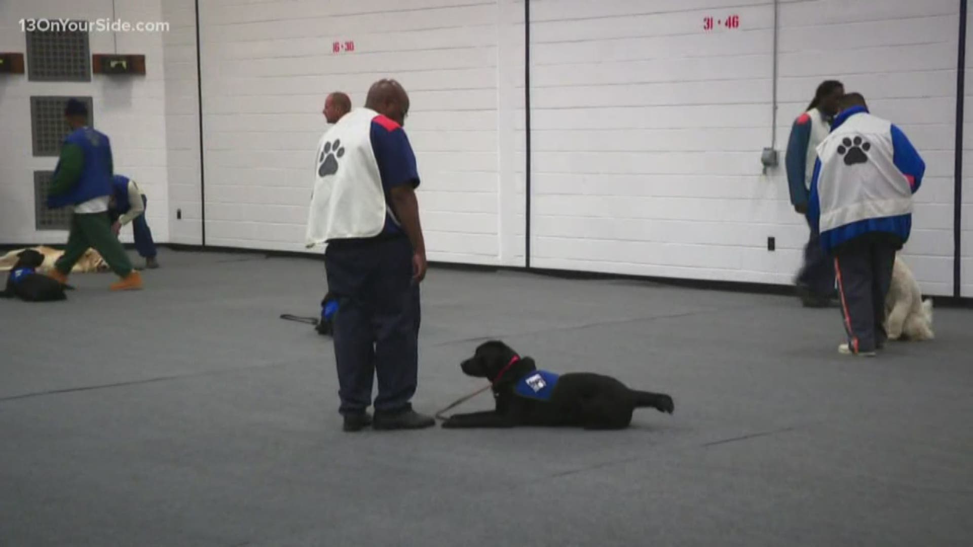 Rae continues her training at the Saginaw Correctional Facility with the Paws Prison Partners Training program.