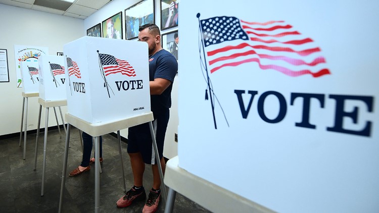 Aug. 2 Michigan primary election voting guide