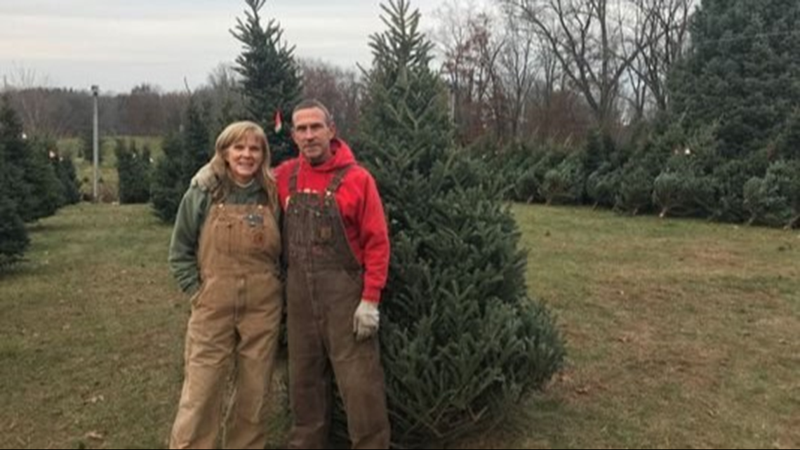 Michigan Christmas tree farmers anticipating 'the best year'