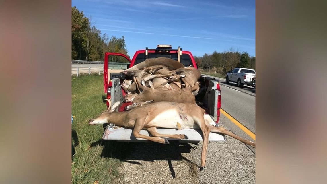 The rules of the roadkill: Who's responsible for picking up deer carcasses?  