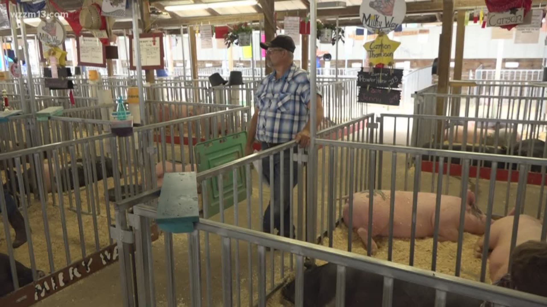 Swine flu concerns in Michigan
