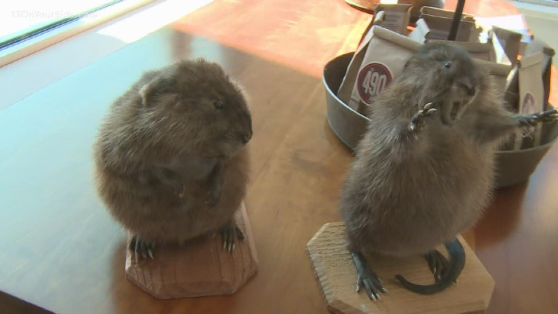 The city of Muskegon celebrated its first Muskrat Day.