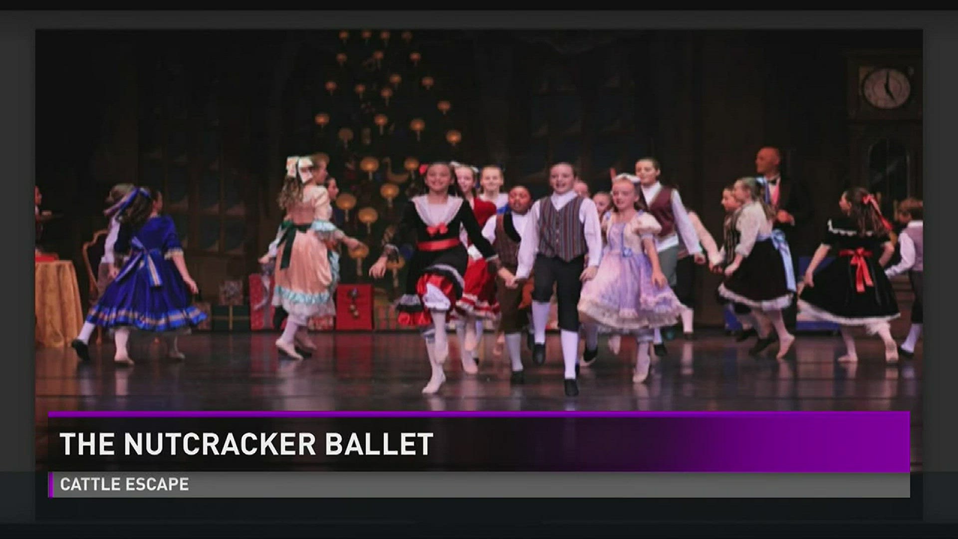 West Michigan Youth Ballet: The Nutcracker