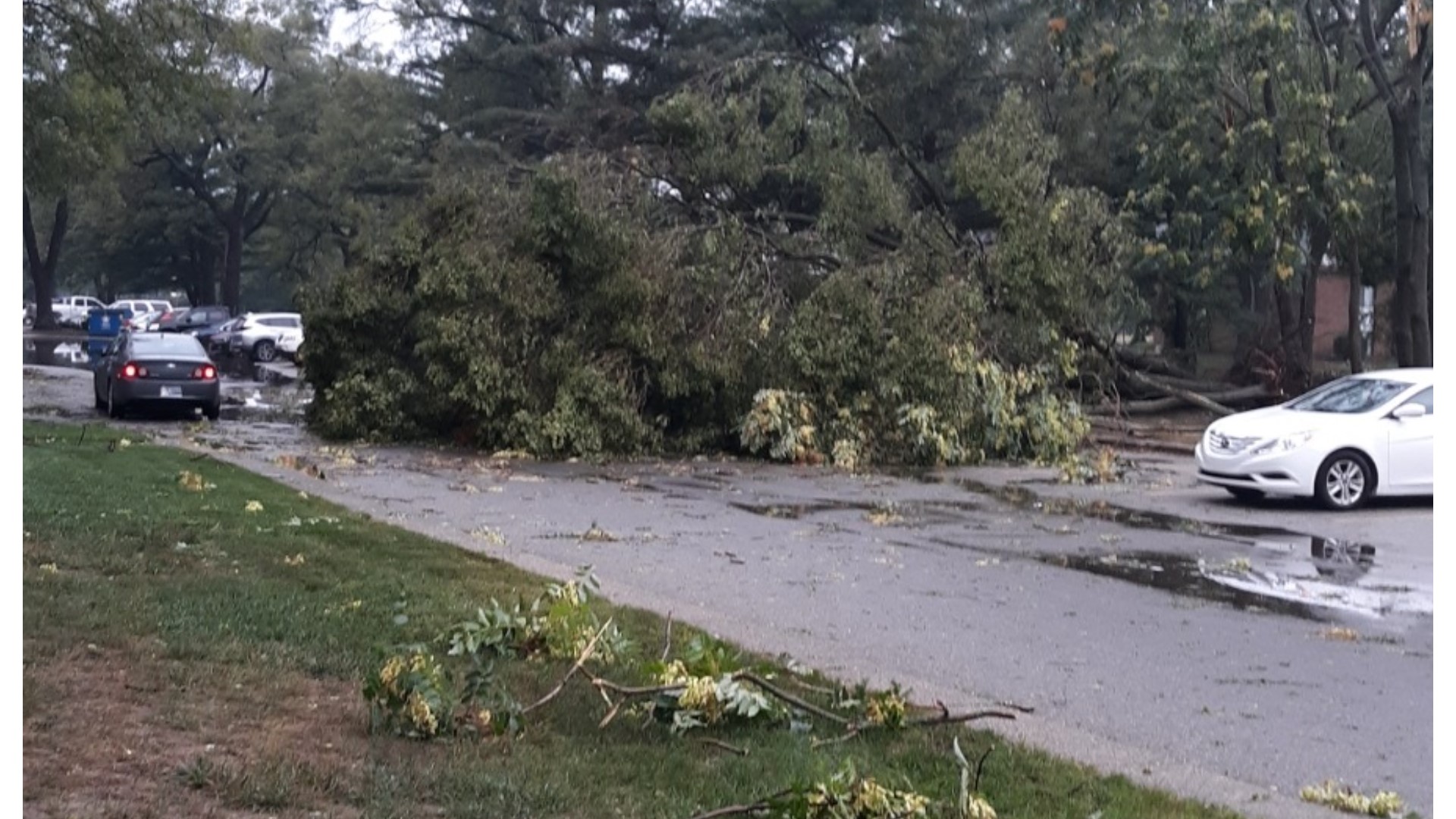 Storm Damage In West Michigan | Wzzm13.com