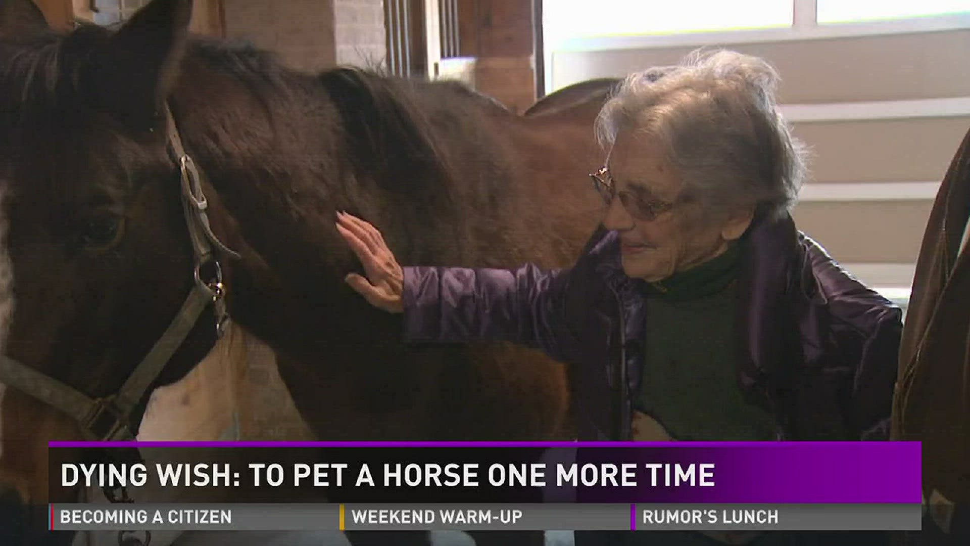 Dying wish: To pet a horse one more time