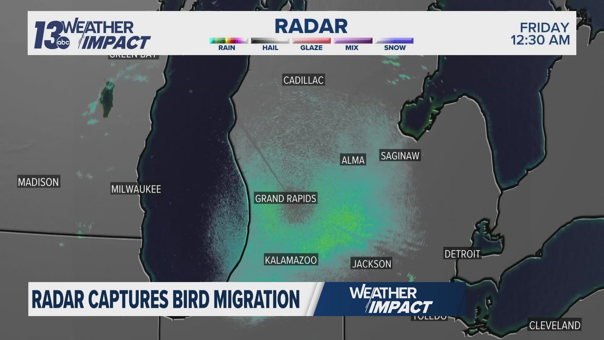 Birds are heading back north with the consistent warmth. Weather radar has tracked millions of birds across the country!