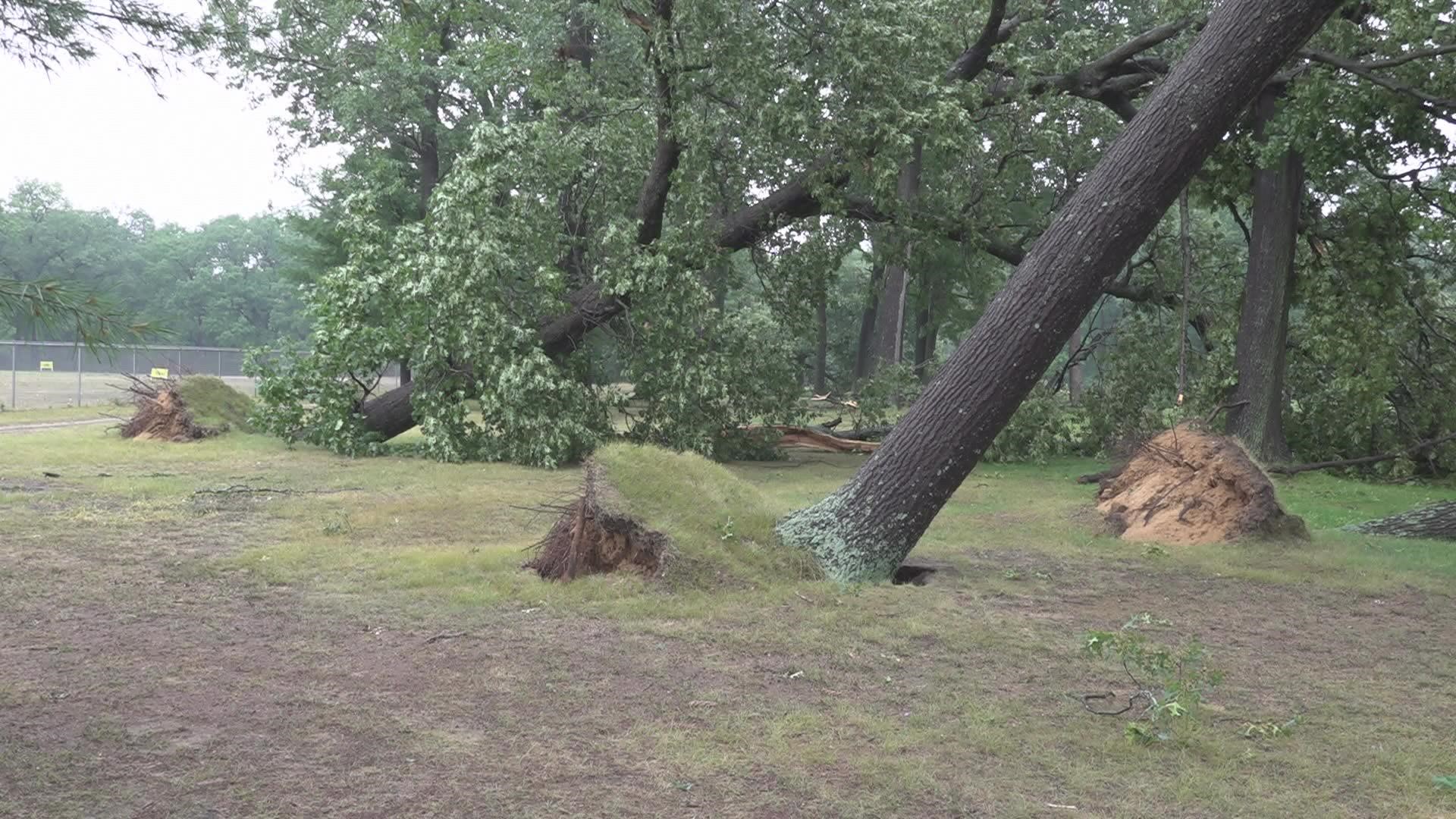 More than 25 trees were uprooted at University Park Golf course, and another was knocked over at an Orchard View elementary school.