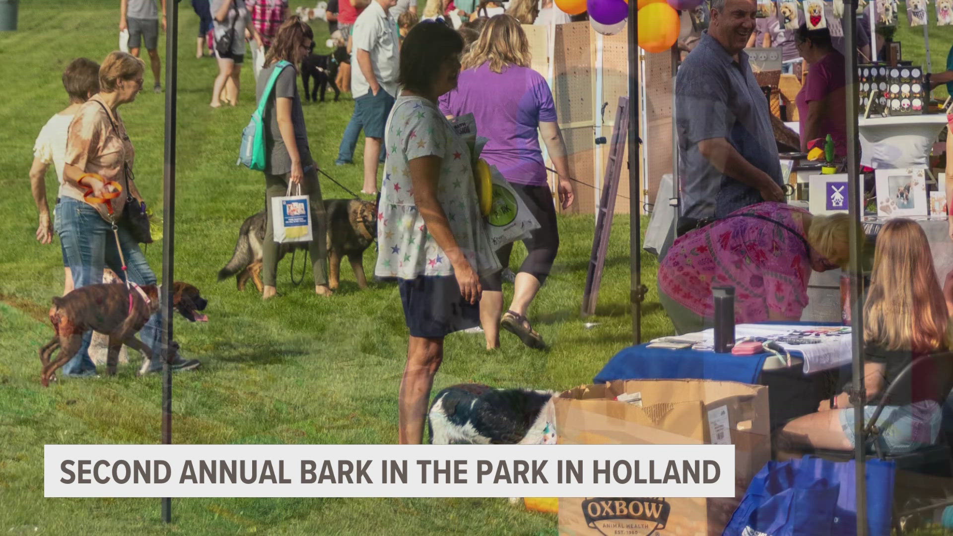 Bark in the Park is back on the lakeshore with more games, prizes and giveaways than the inaugural event last year.