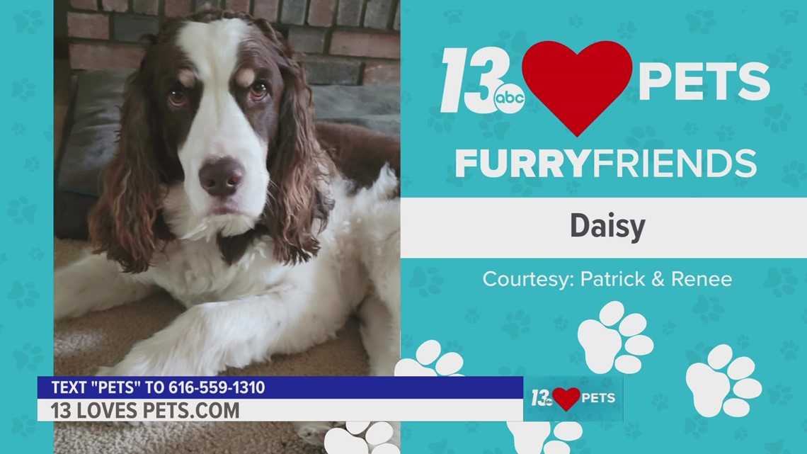 Furry Friends:  September 27, 2022 | Daisy and Tequila