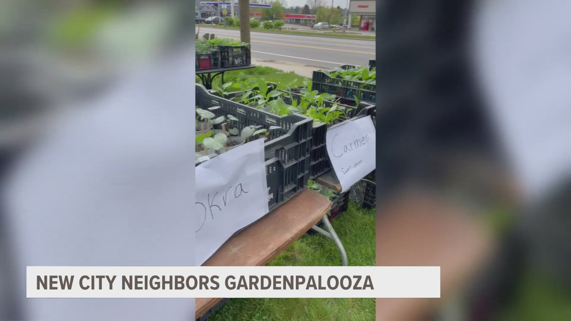 Gardenpalooza will have free workshops to help you grow a thriving garden this summer.