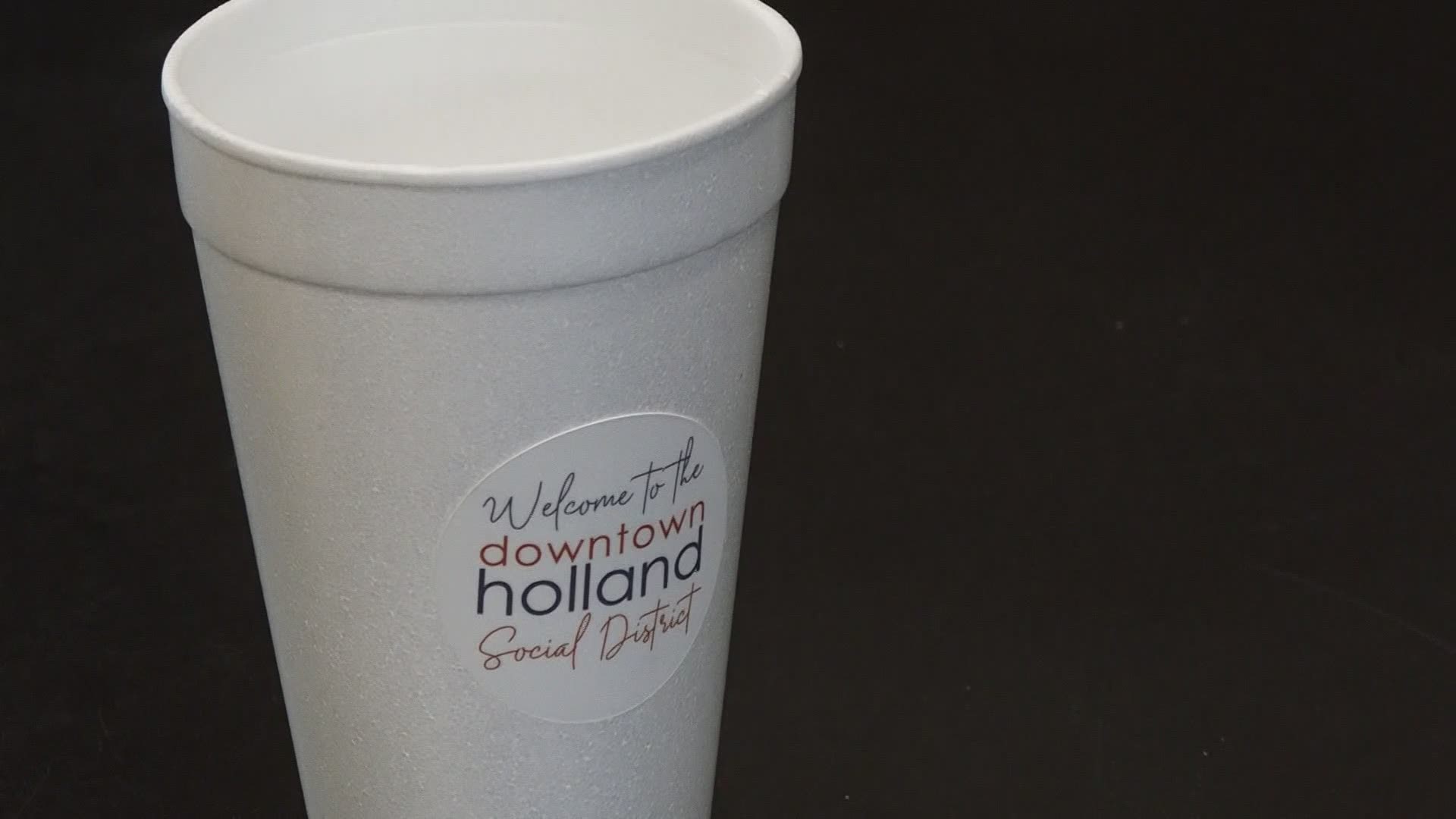New social zones in Holland are hoping to boost revenue and keep business in downtown.
