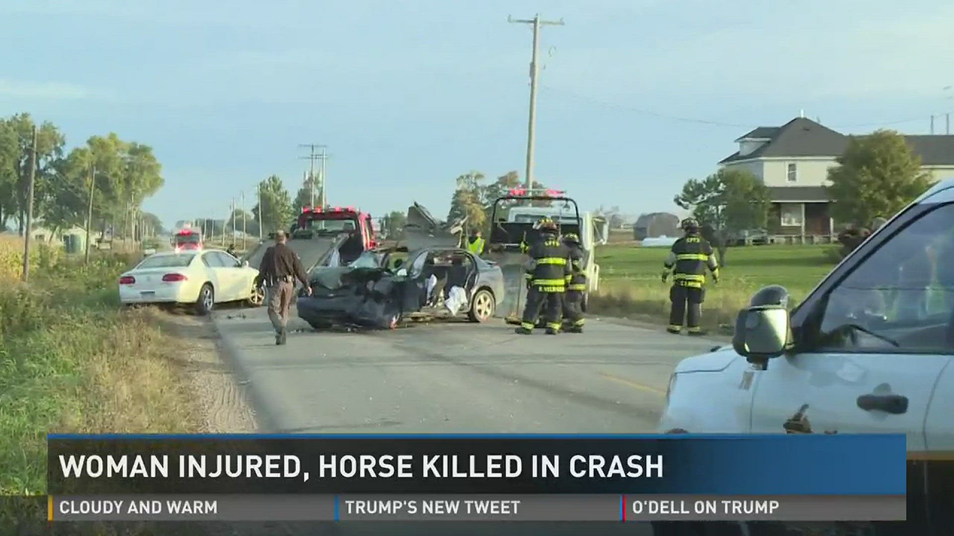 A 27 year old woman from Ravenna is in the hospital after crashing her car into a horse.