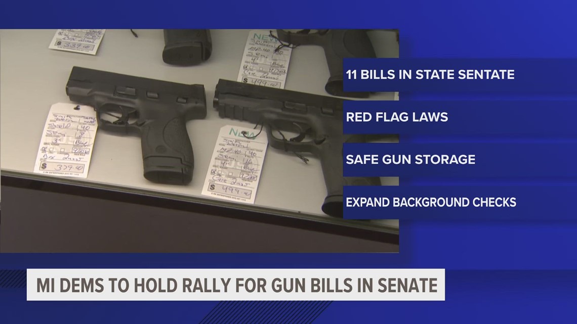 Michigan Democrats to hold rally for gun bills in Senate