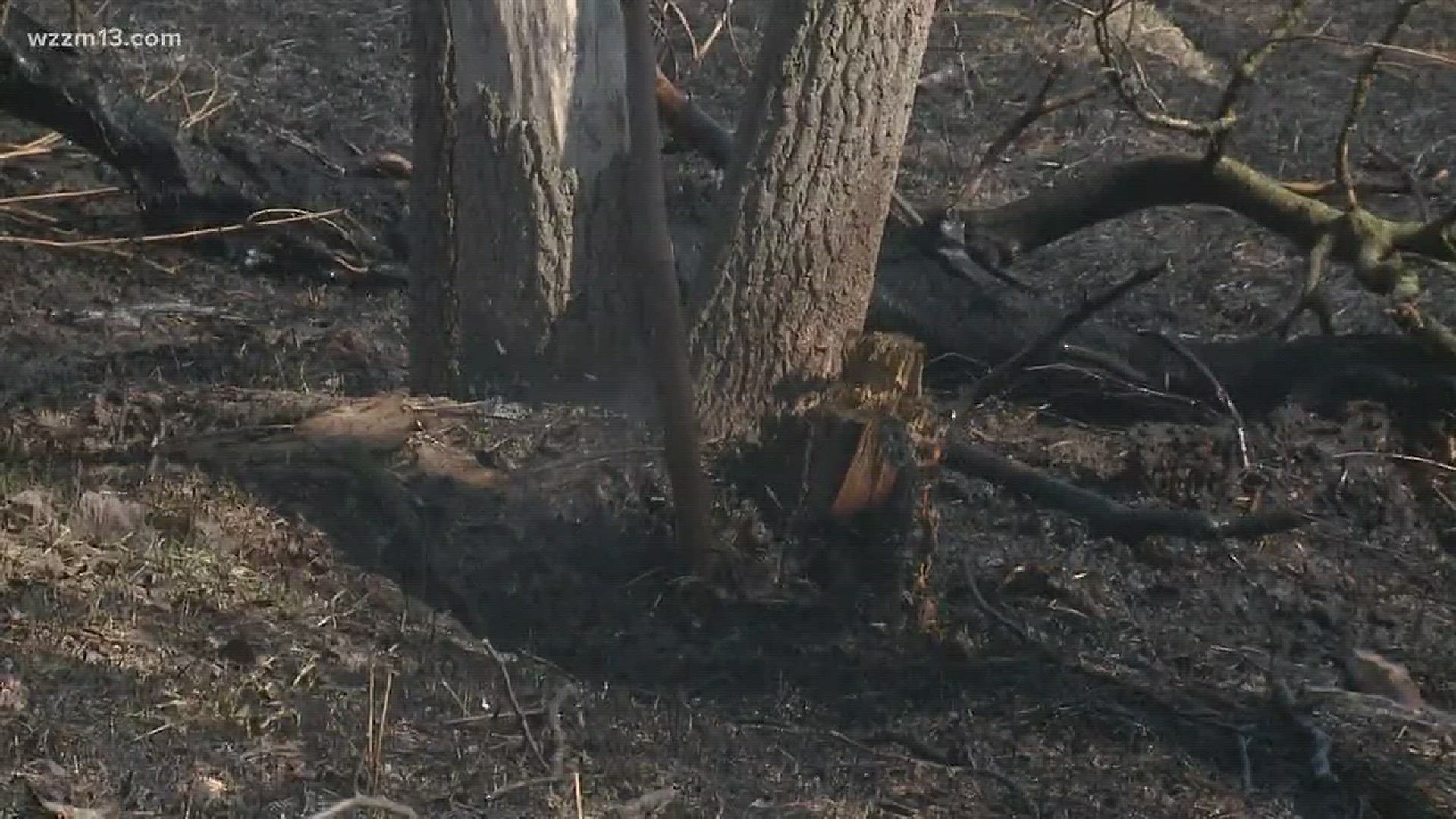 Dry conditions lead to burning bans in west Michigan