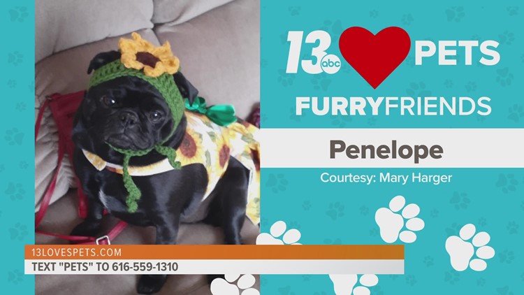 Furry Friends:  June 13, 2022 | Penelope and Murphy