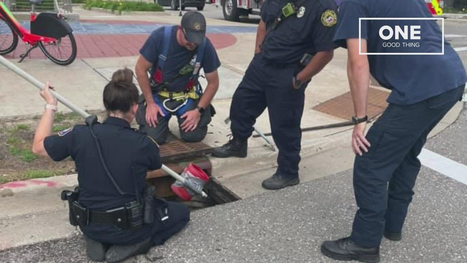 An officer used a pole, duct tape and a Folgers can to rescue the ducklings.