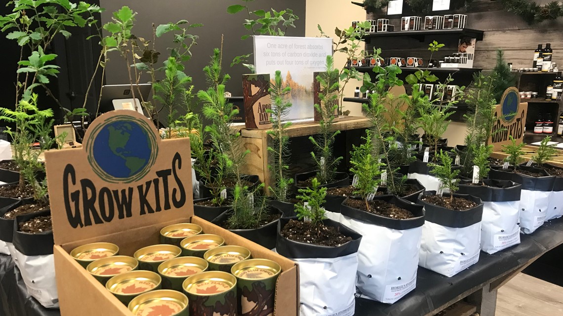 Get a free tree for Earth Day | wzzm13.com