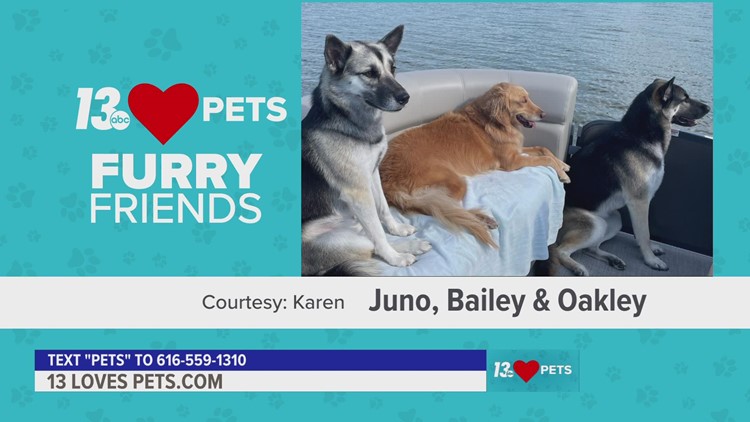 Furry Friends:  September 23, 2022 | Juno, Bailey & Oakley and Alani