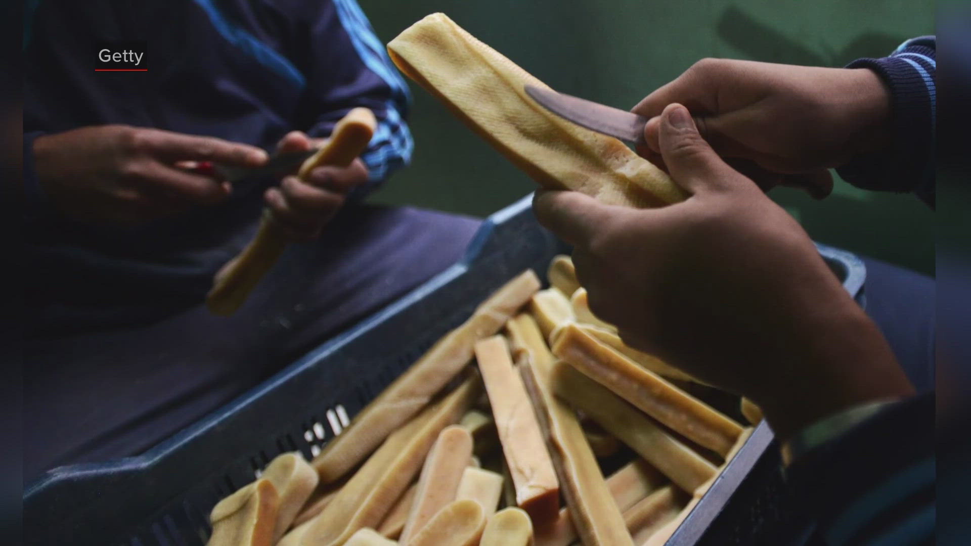 While rawhides may look like a nice treat for your furry friend, veterinarians warn they can do more harm than good.