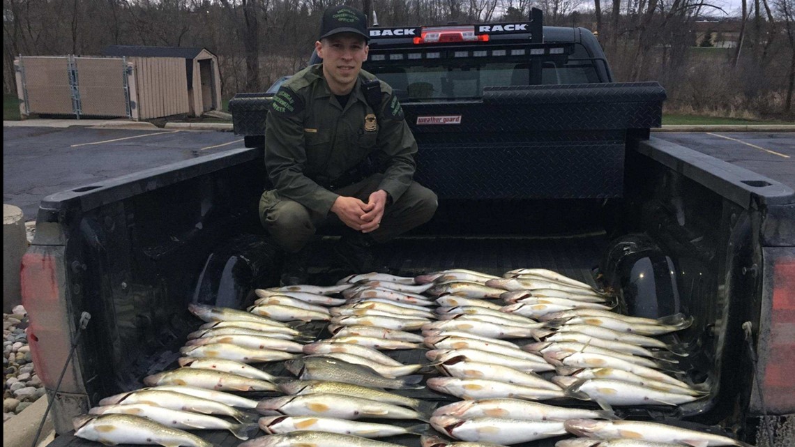 Three West Michigan men caught with dozens of walleye over daily limit