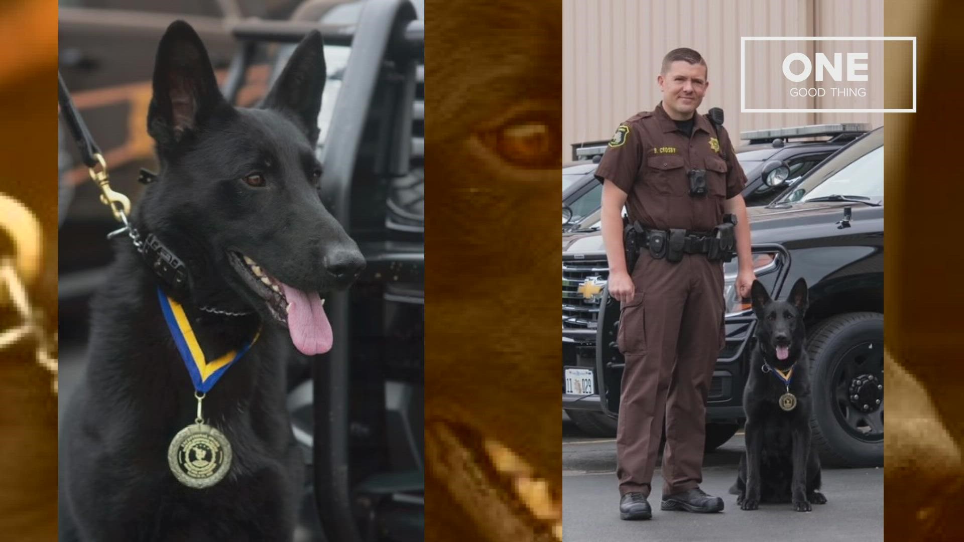 The West Michigan K9 and his handler were awarded for their service in a 2020 incident that saved a young girl.