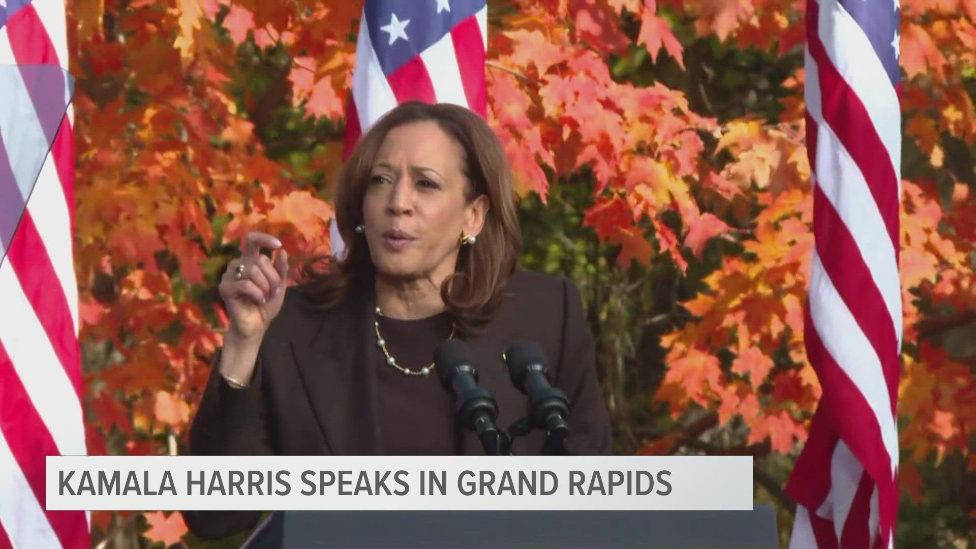 Vice President Kamala Harris talked about how she would bring down the cost of medical care for seniors and make it easier for entrepreneurs to start a business.