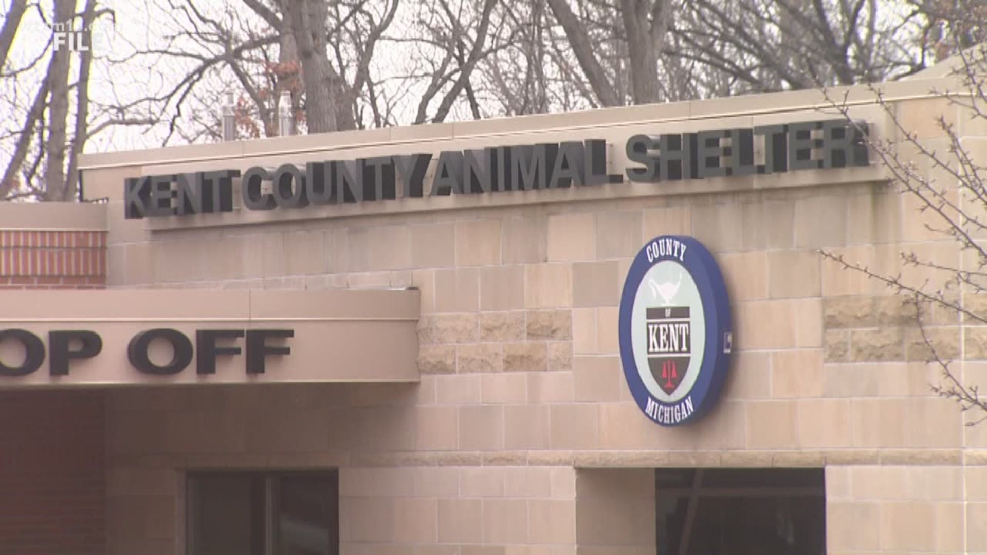Kent County Animal Shelter increasing fees after costs rise | wzzm13.com