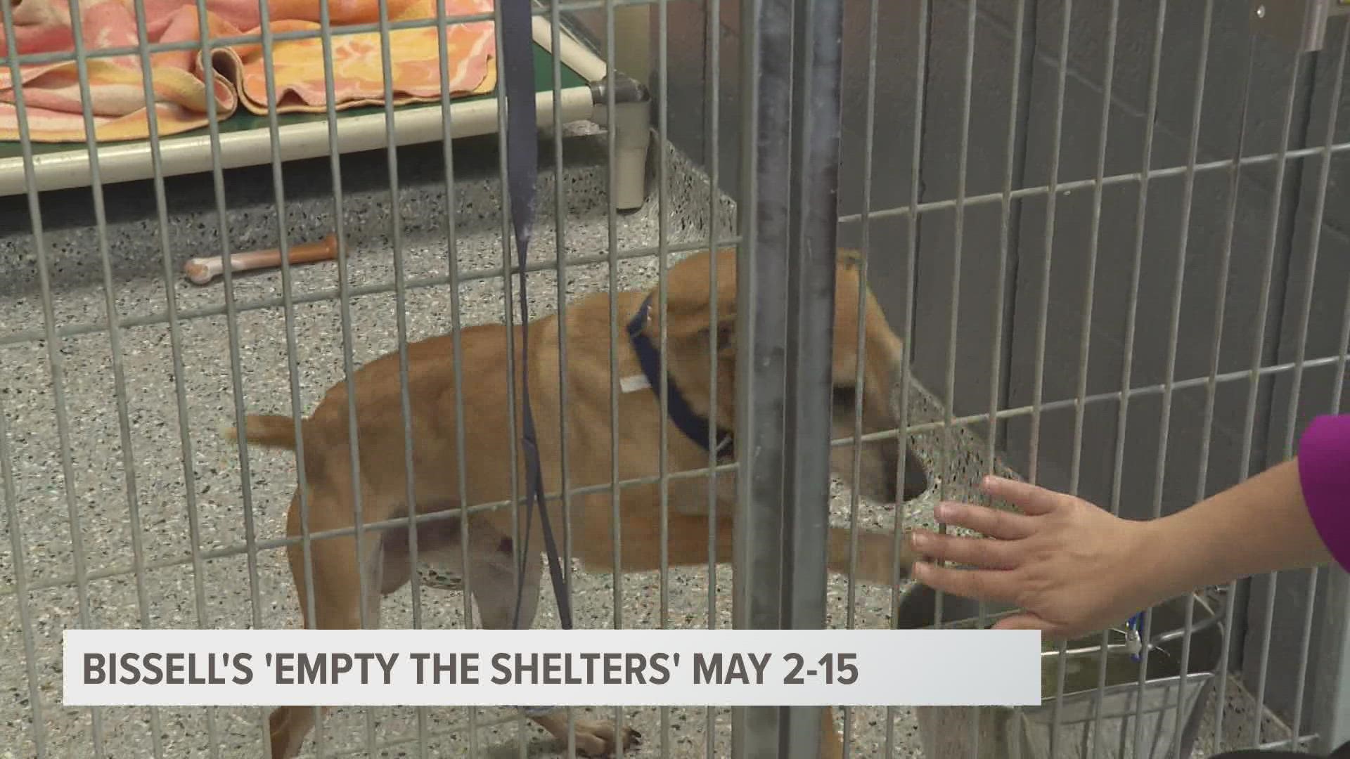 Animal shelters across the nation are at capacity and there’s a critical need for adopters to provide loving forever homes to our furry friends.
