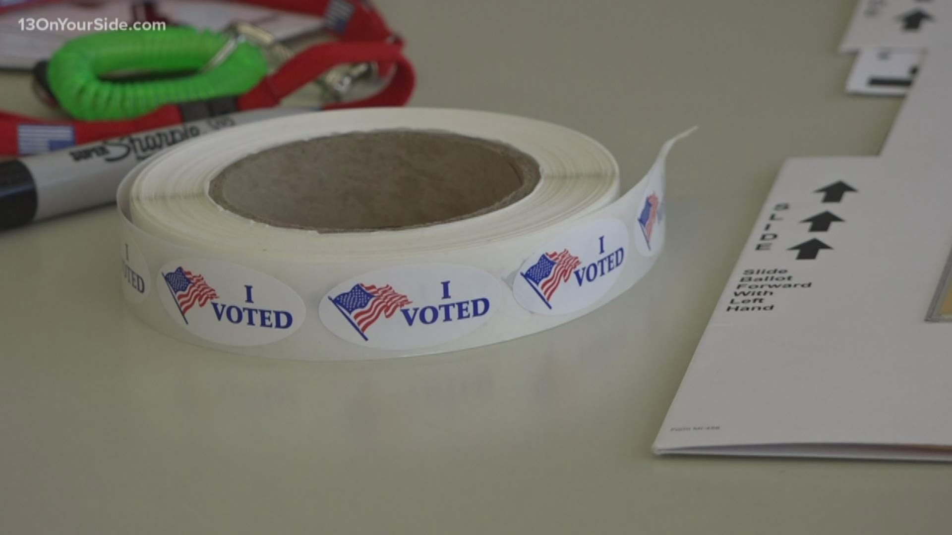 Lisa Posthumus Lyons said her top priority is ensuring that people aren't deterred from voting.