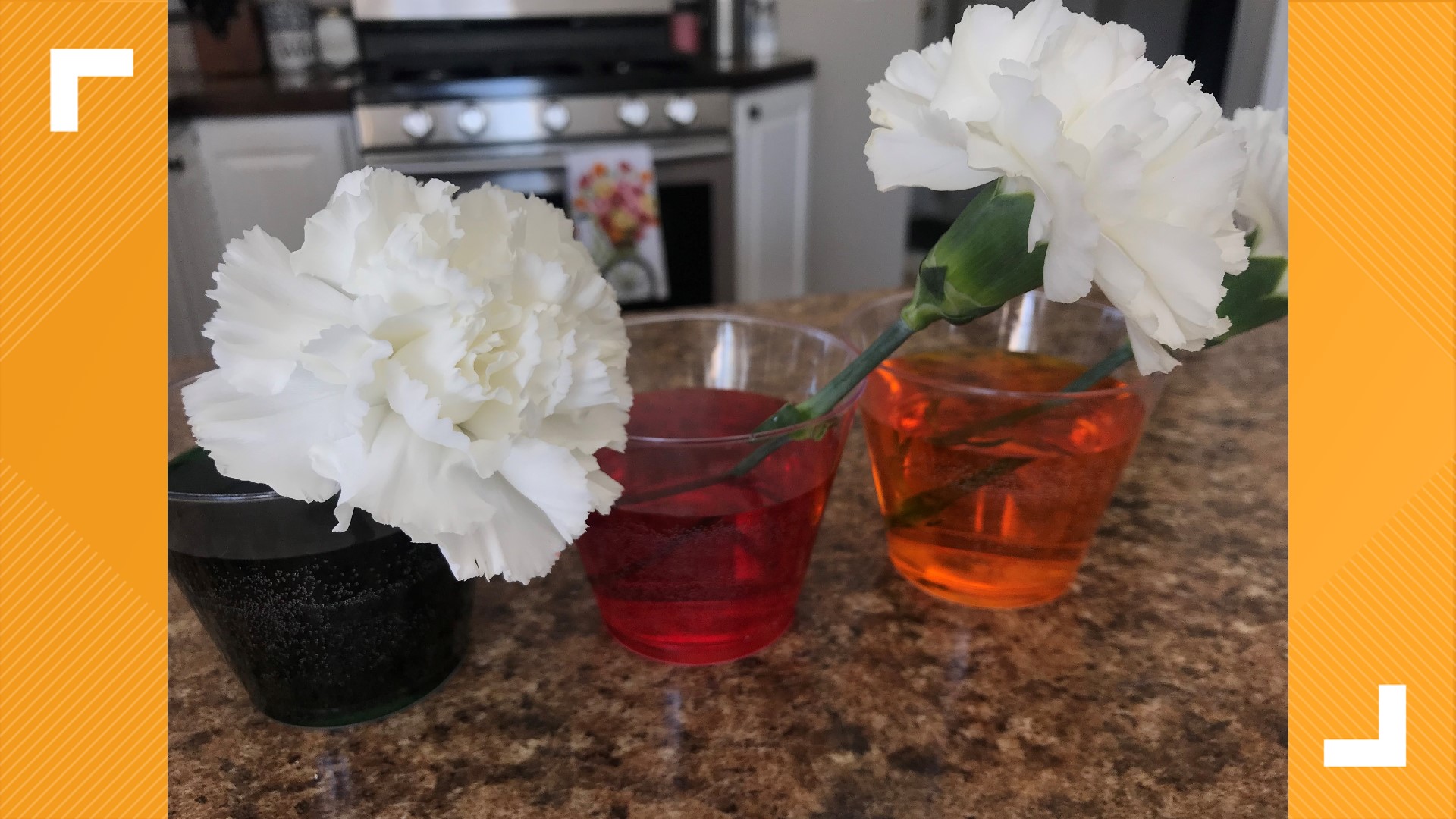 Make a colorful flower bouquet for mom using science