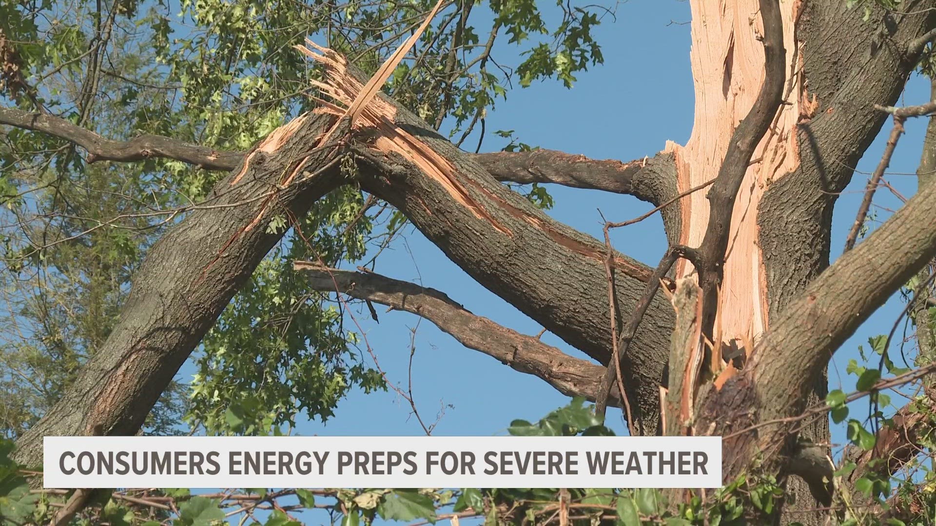 Although it's rare for Michigan to see thunderstorms during February, Consumers Energy said its crews are ready to respond.