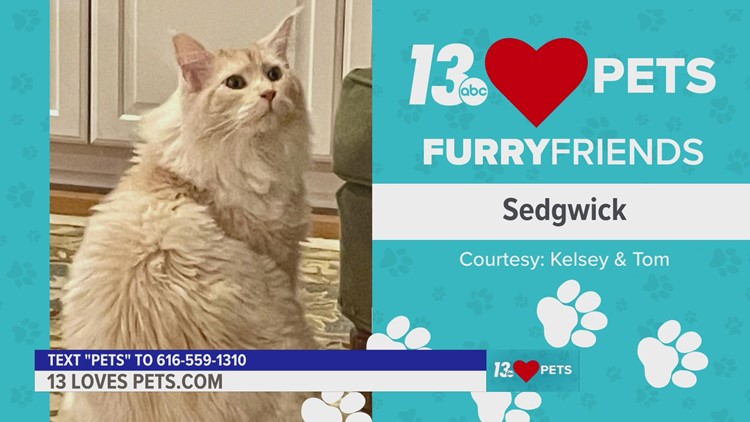 Furry Friends:  September 21, 2022 | Sedgwick and Buddy