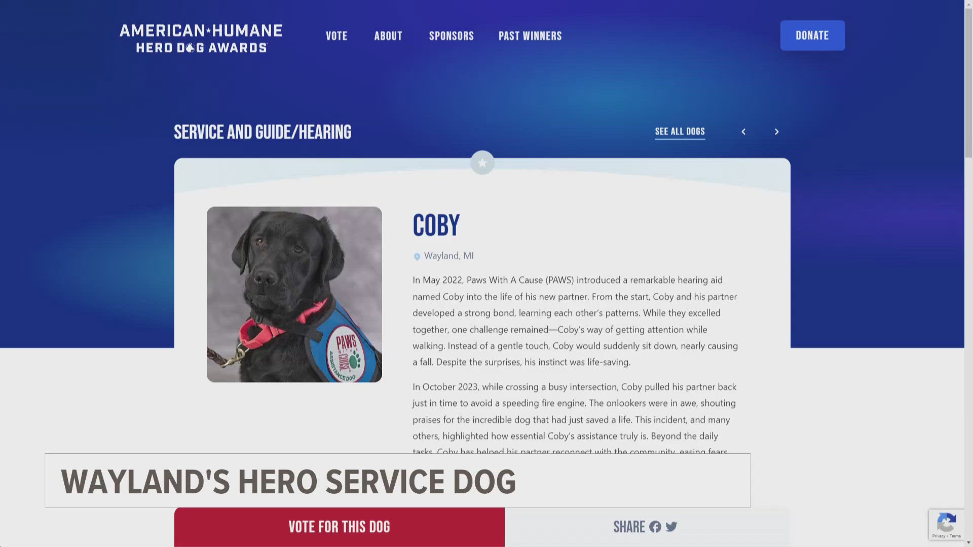 Coby is an assistance dog that saved the life of his partner in 2023 when he pulled his hearing impaired partner from out of the path of a speeding firetruck.