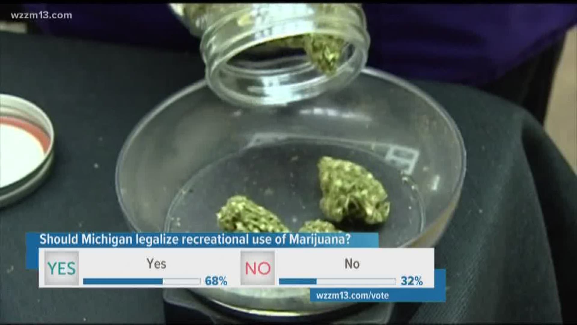 Michigan recreational pot poll