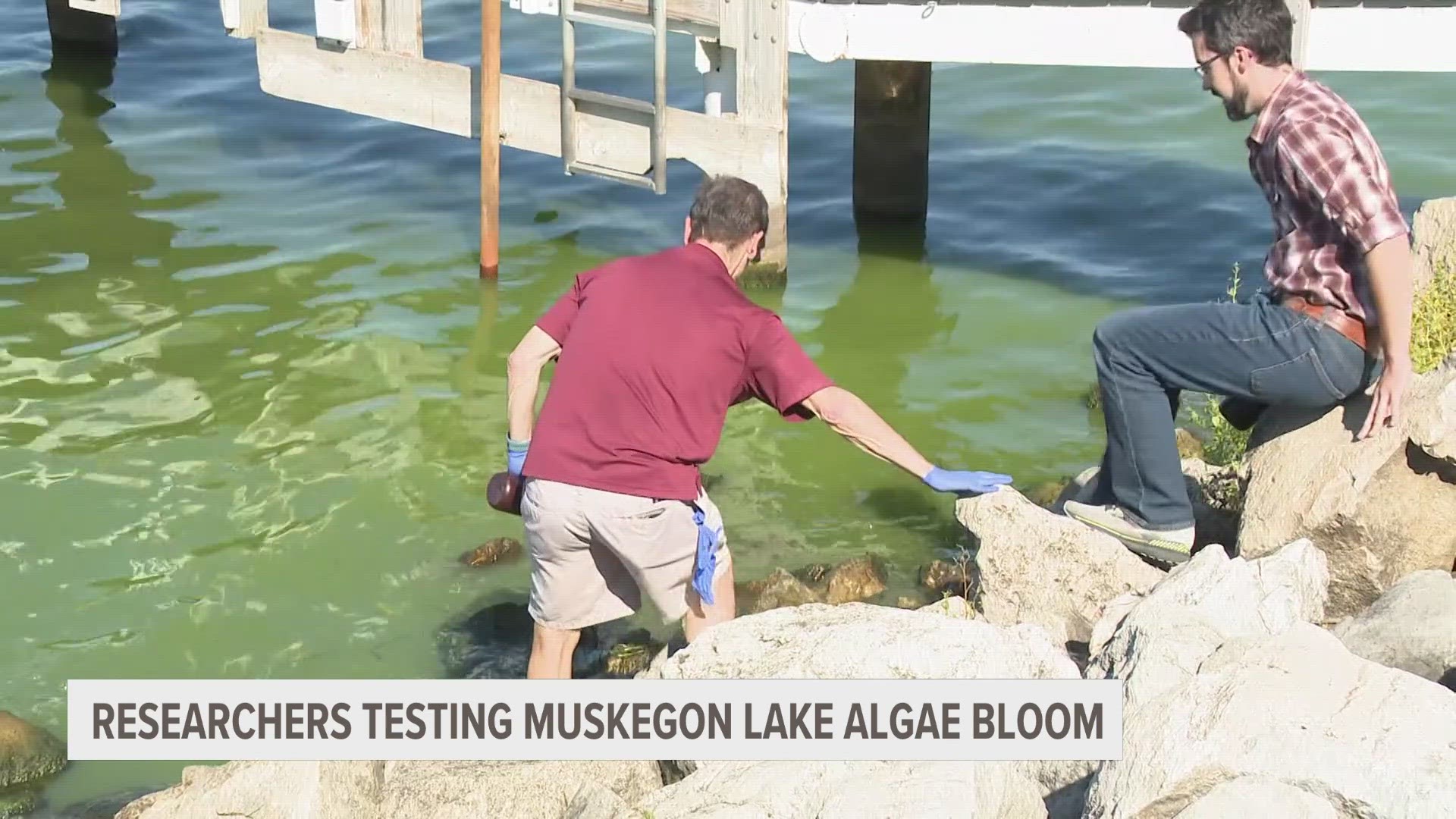 While testing is needed to determine the type, the bloom appears to be blue-green algae. Officials are warning kids and pets to stay out of the water for now.