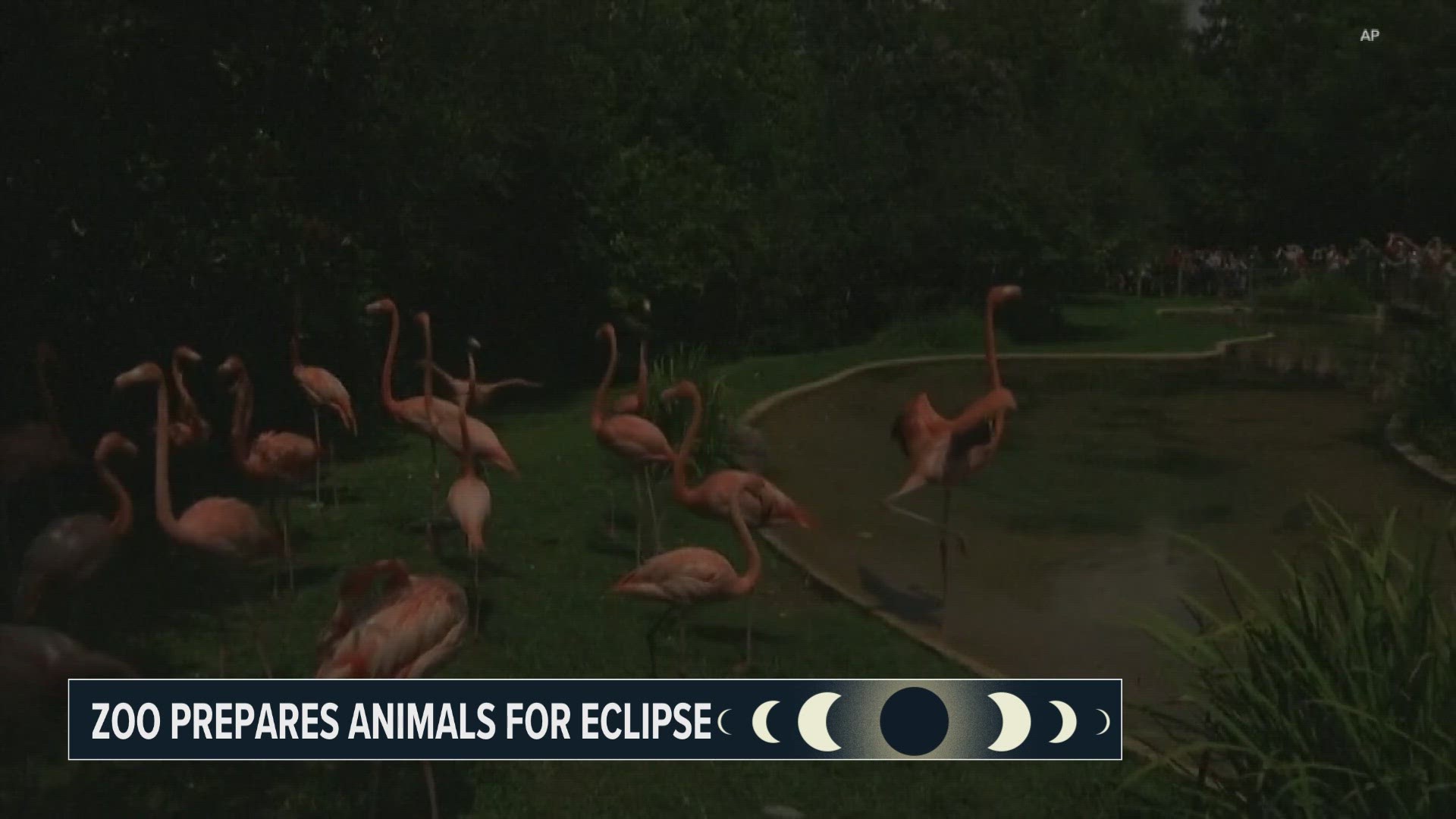 When the eclipse happens on Monday afternoon, leaders from John Ball Zoo will carefully monitor how the animals react.