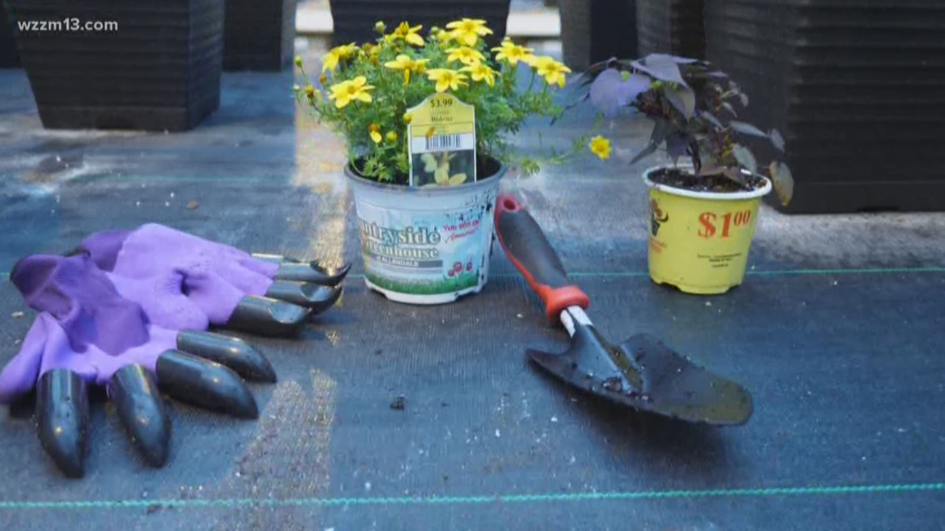 It's a combination of a glove and a shovel, and looks like something straight out of a Marvel movie. These "Garden Genie Gloves" aim to make it easier to dig in the garden. We put them to the test in this edition of "Try It Before You Buy It."