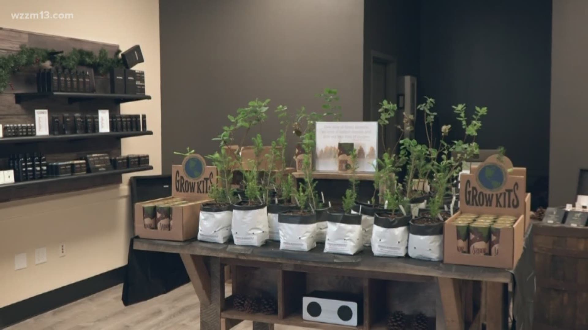 The Nine's Gentleman's Shoppe is giving away a sapling or growing kit with every purchase starting Monday. The store will have a variety of oak, maple and sequoia trees.