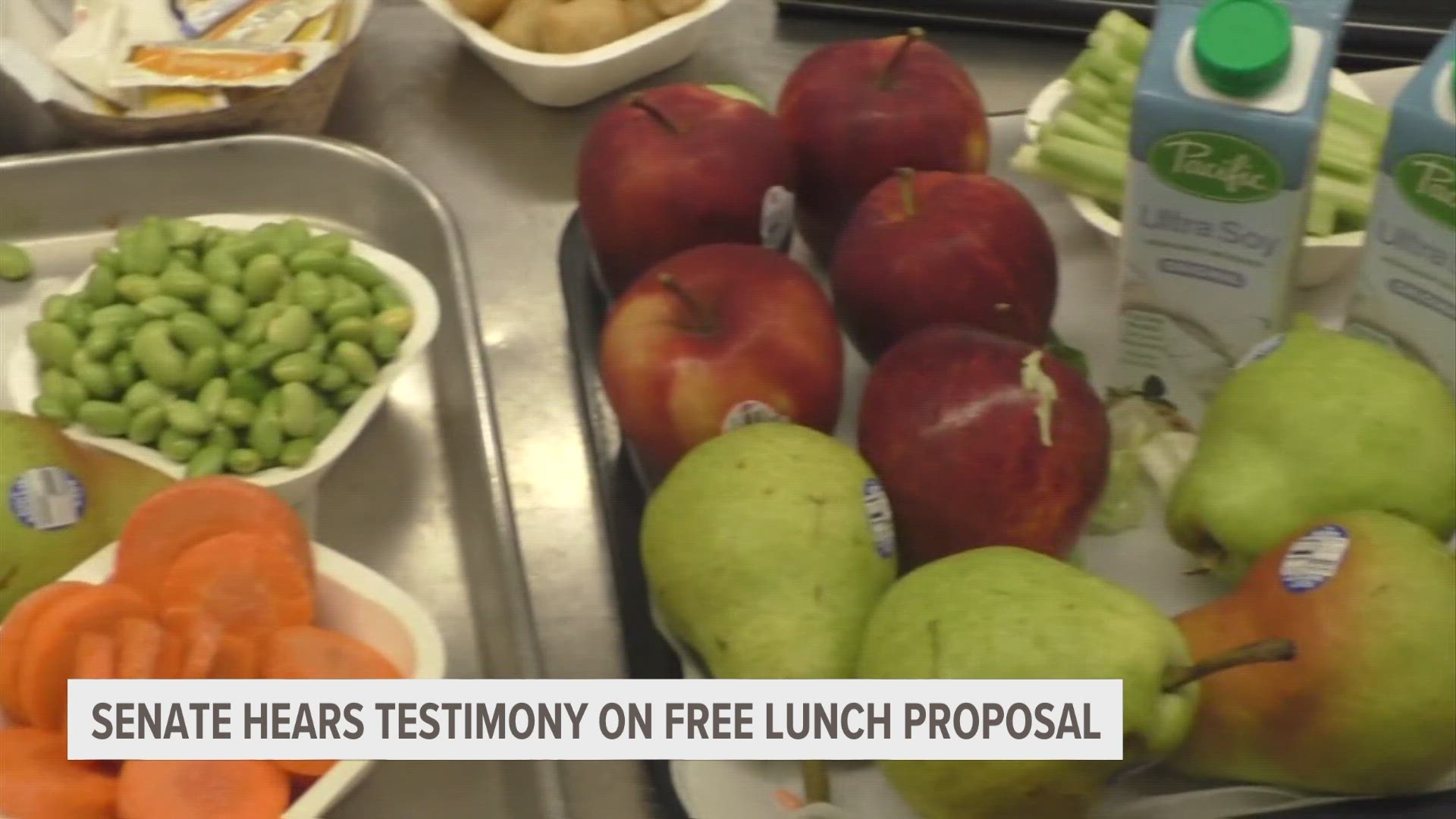 In this year's budget, Governor Whitmer approved free lunches for a year. On Tuesday, the State Senate heard testimony about a bill to make free lunches permanent.