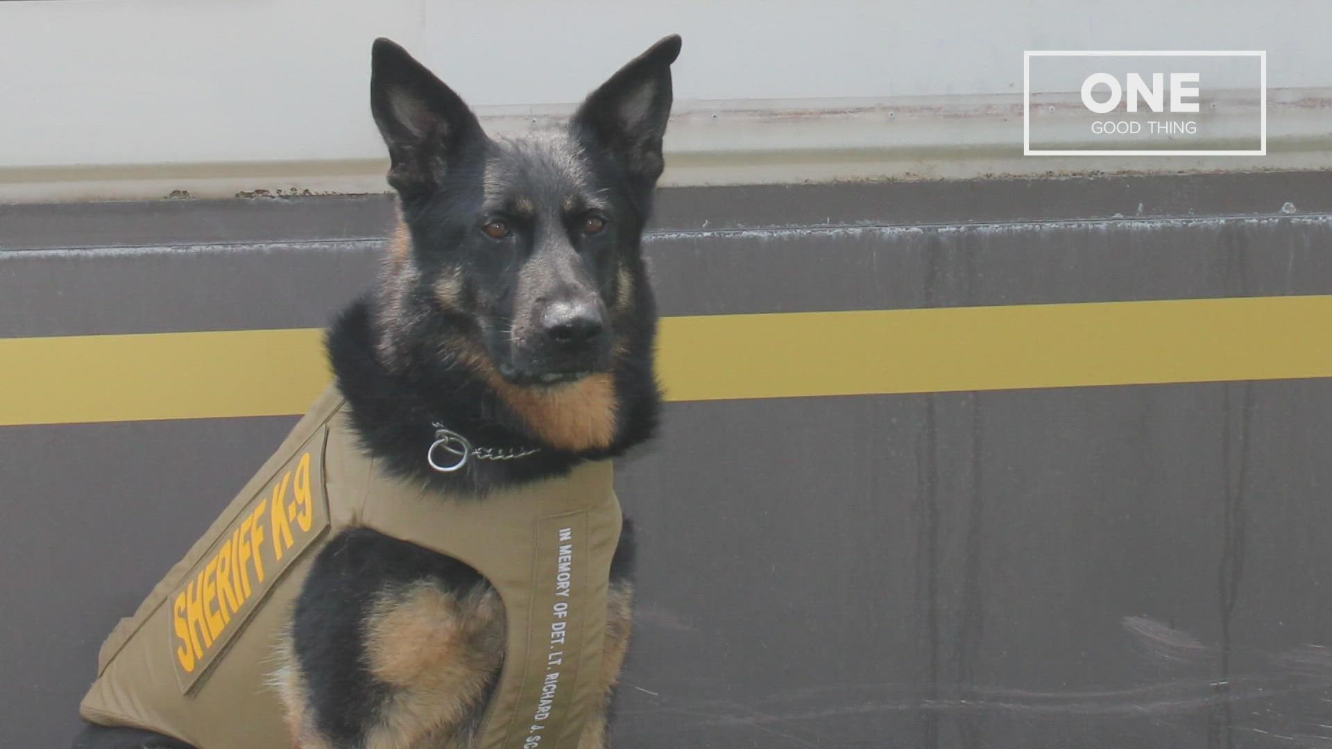 Zeke is a K-9 officer with the Mecosta County Sheriff's Office. He has a new bullet and stab resistant vest thanks to Vested Interest in K-9s.