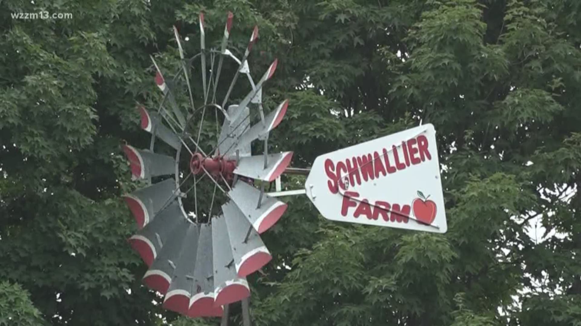 Schwalliers opens for the season