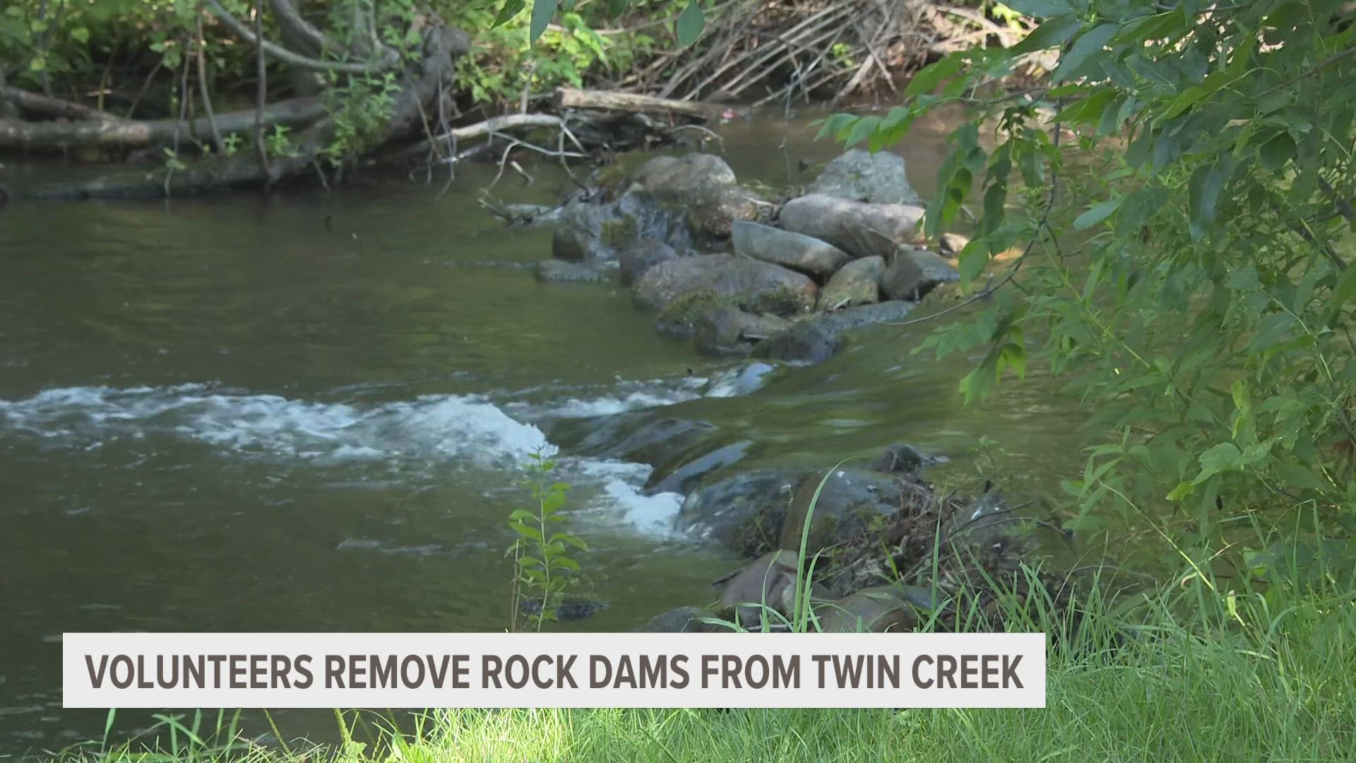 Volunteers removed rock dams from Twin Creek in Muskegon to help the ecosystem.
